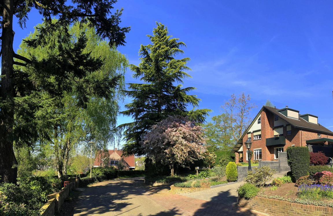 IMG_5873_stitch pica